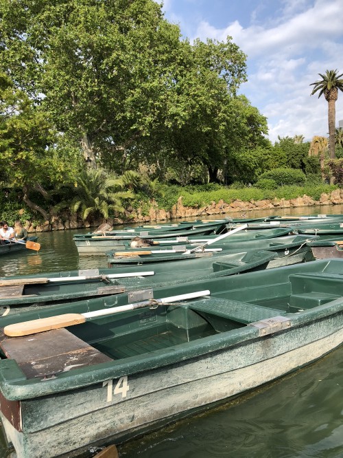 Image reflection, body of water, watercraft, waterway, plant community