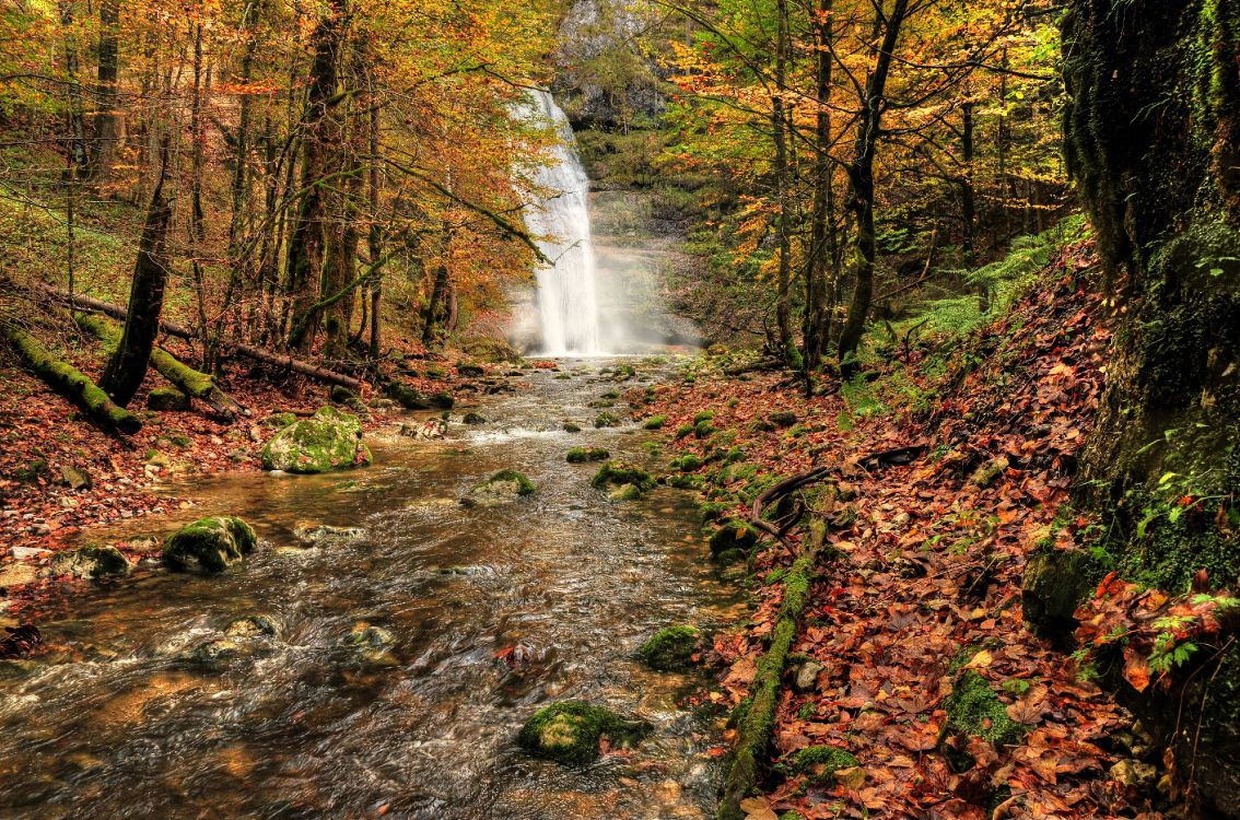 Wasser Fällt Mitten in Den Wald. Wallpaper in 4263x2818 Resolution