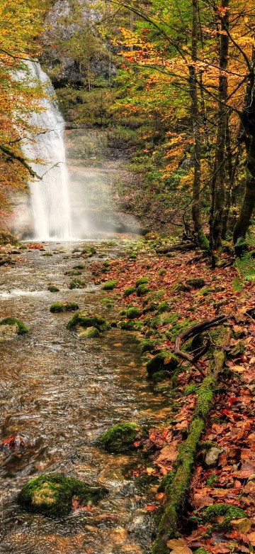 Image water falls in the middle of the forest