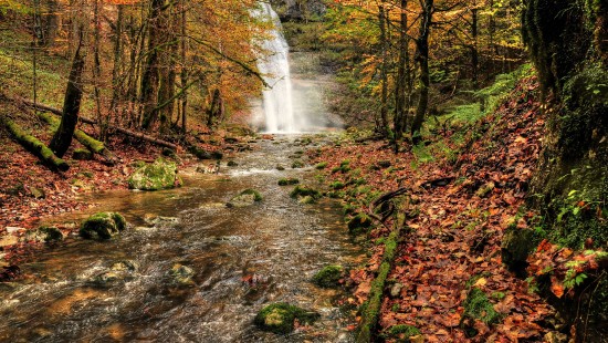 Image water falls in the middle of the forest