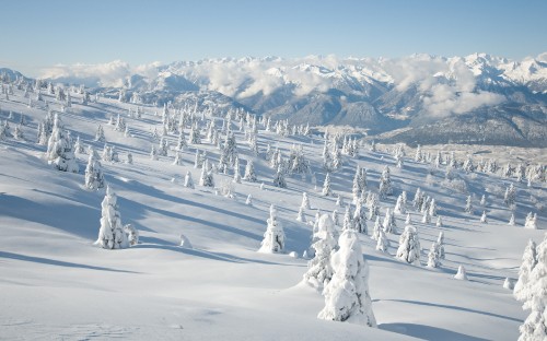 Image snow covered mountain during daytime