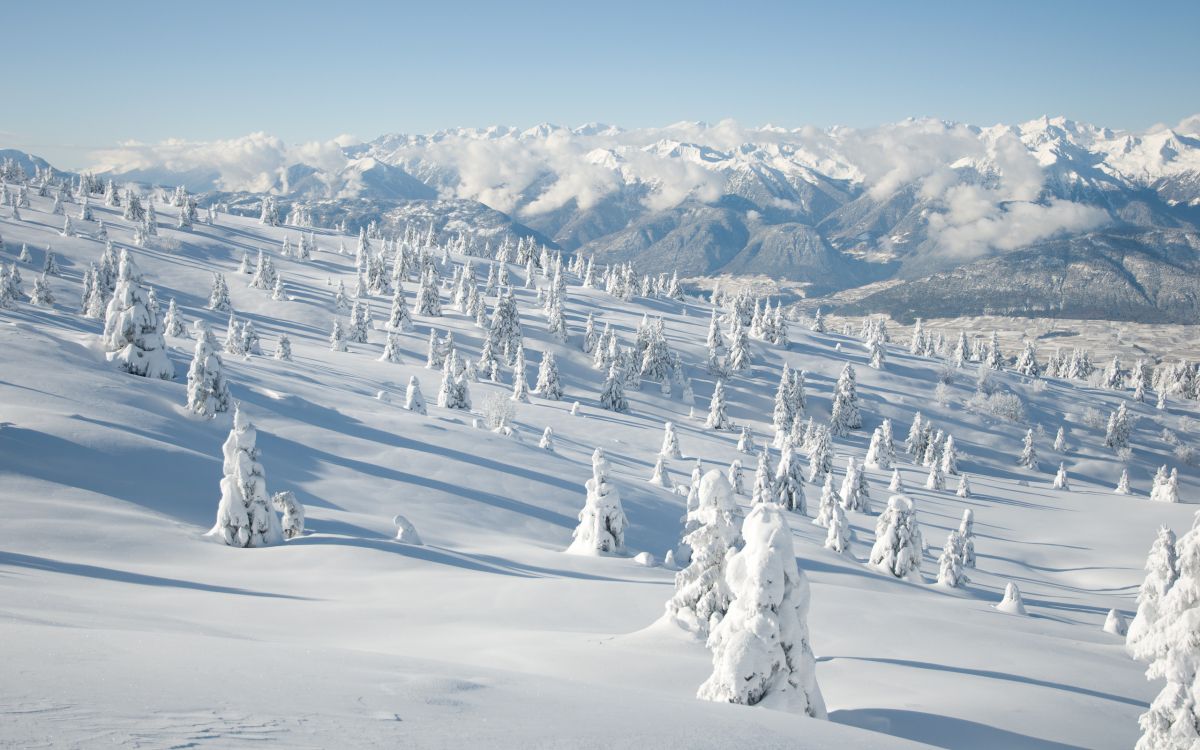 snow covered mountain during daytime