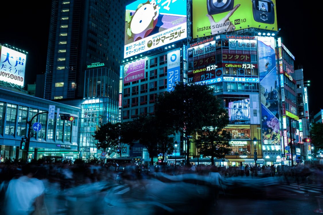 city buildings with lights turned on during night time