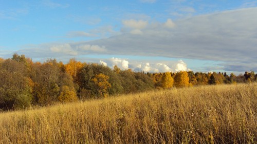 Image brown grass field under blue sky during daytime