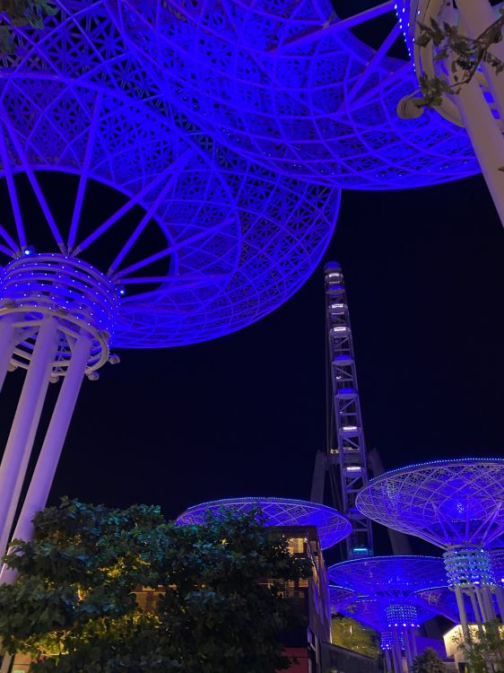 Singapur, Hito, Azul Majorelle, Azul, Morado. Wallpaper in 1536x2048 Resolution