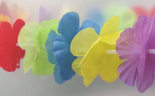 Image hawaii, lei, party, Hawaiian language, yellow