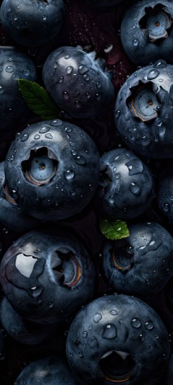 Bilberry, Blueberry, Superfood, Plant, Fruit. Wallpaper in 1080x2400 Resolution