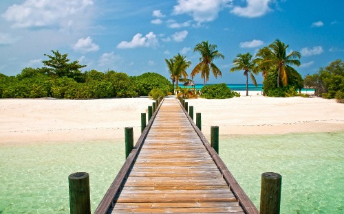 Image brown wooden dock on beach during daytime