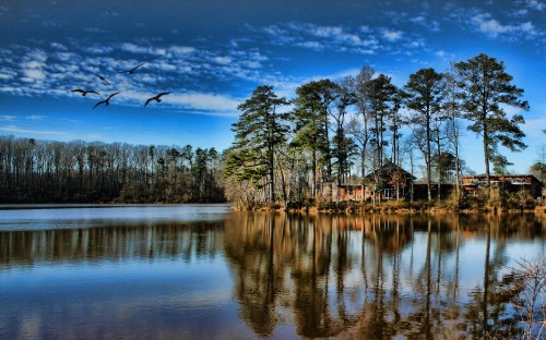 Image green trees beside body of water under blue sky during daytime