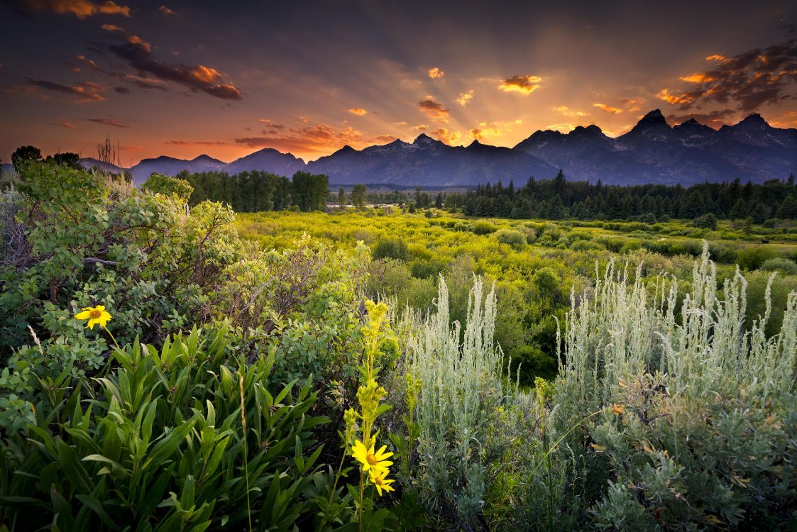 green grass field near mountain during daytime