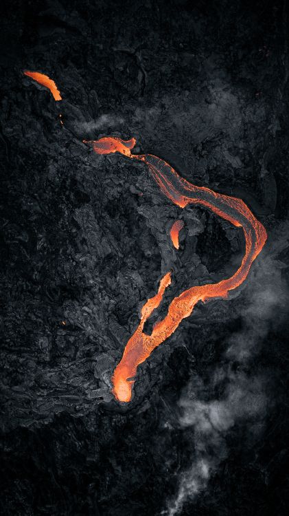 Orange, Alias Afk, Spotify, Looney Tunes Riddim Bill Gates, Deezer. Wallpaper in 2475x4400 Resolution