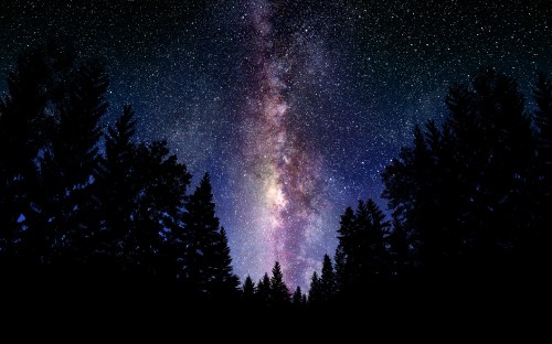 Image silhouette of trees under starry night