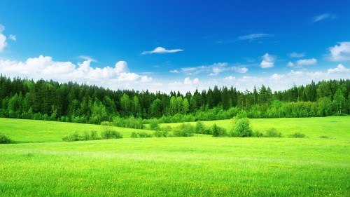 Image green grass field under blue sky during daytime