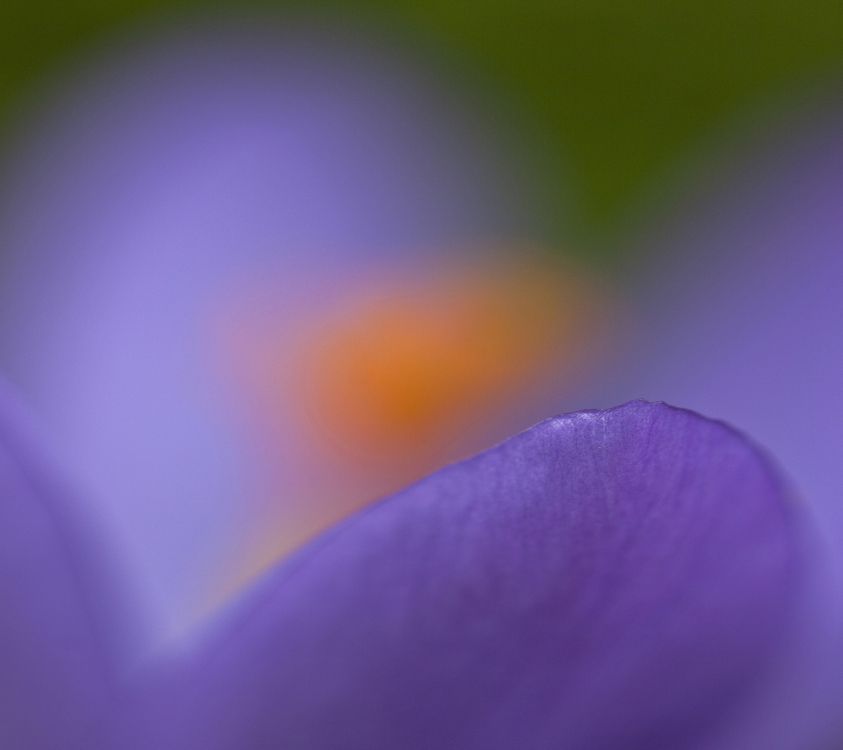 诺基亚8, 诺基亚6, 诺基亚e61, 诺基亚6100, Nokia 壁纸 2160x1920 允许