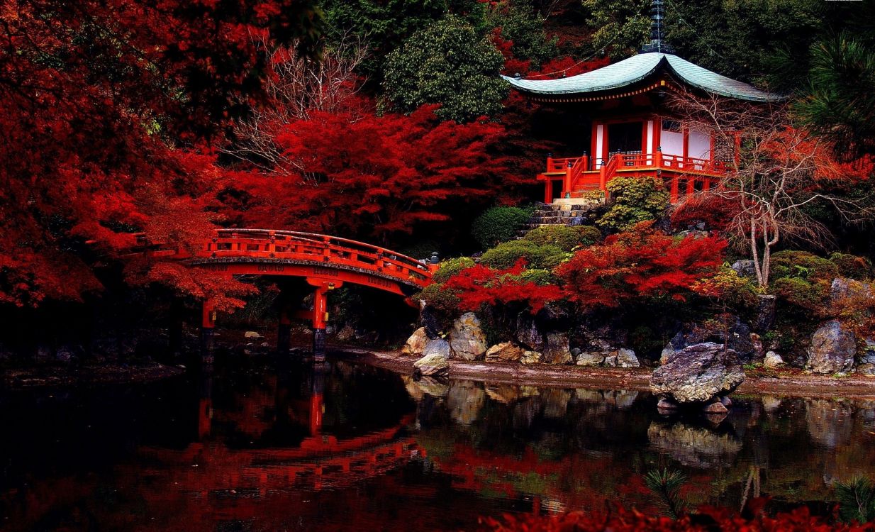 Pont en Bois Rouge et Marron Au-dessus de la Rivière. Wallpaper in 2880x1749 Resolution