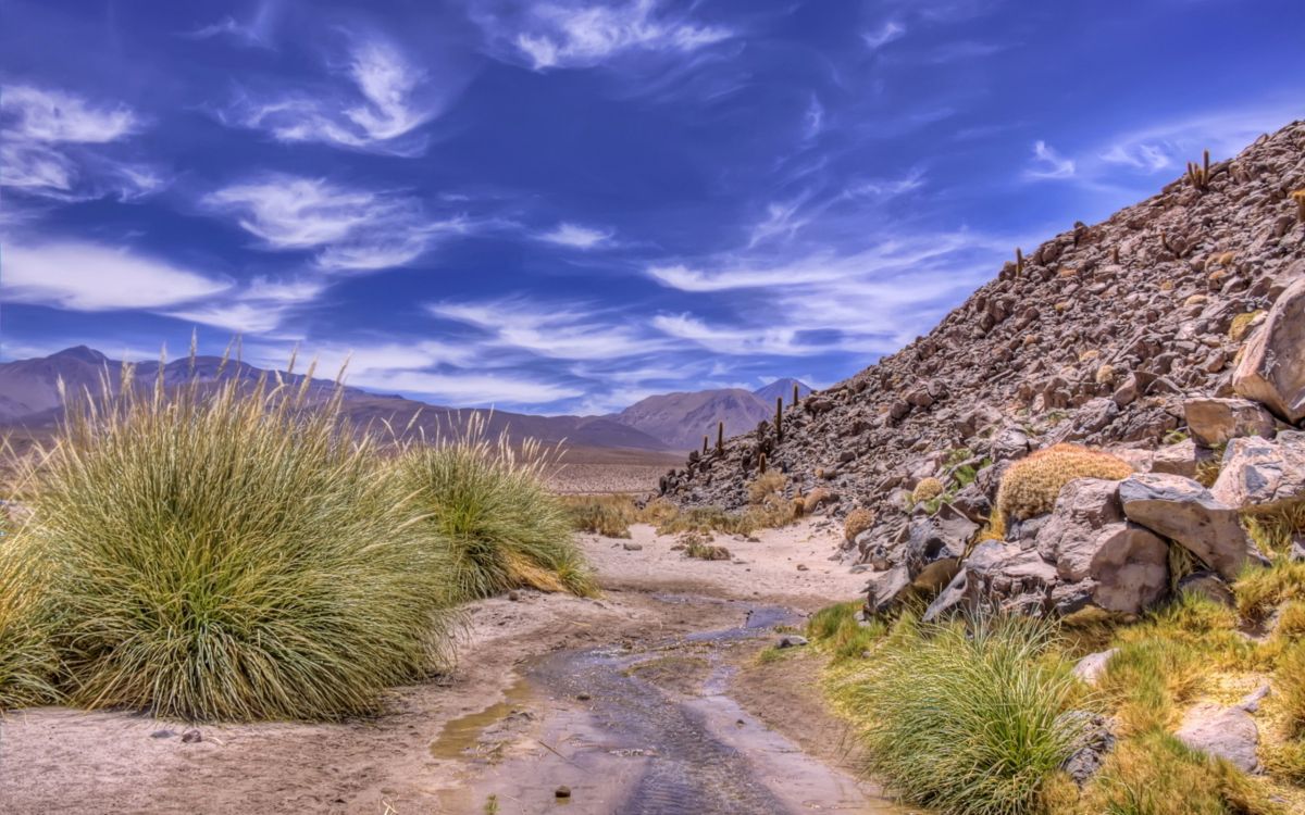 荒野, 植被, 荒地, 自然保护区, 天空 壁纸 2560x1600 允许
