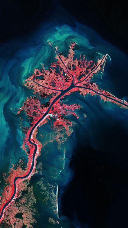 Mississippi-Delta, Erde, Mississippi, Wasser, Baum. Wallpaper in 750x1334 Resolution