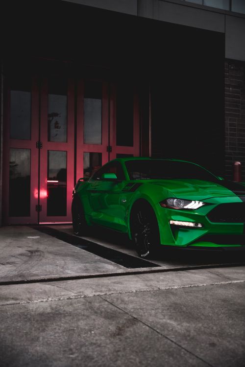 Mustang Verde Fresco, Ford Mustang, Deportivo, Shelby Mustang, Ford. Wallpaper in 4160x6240 Resolution