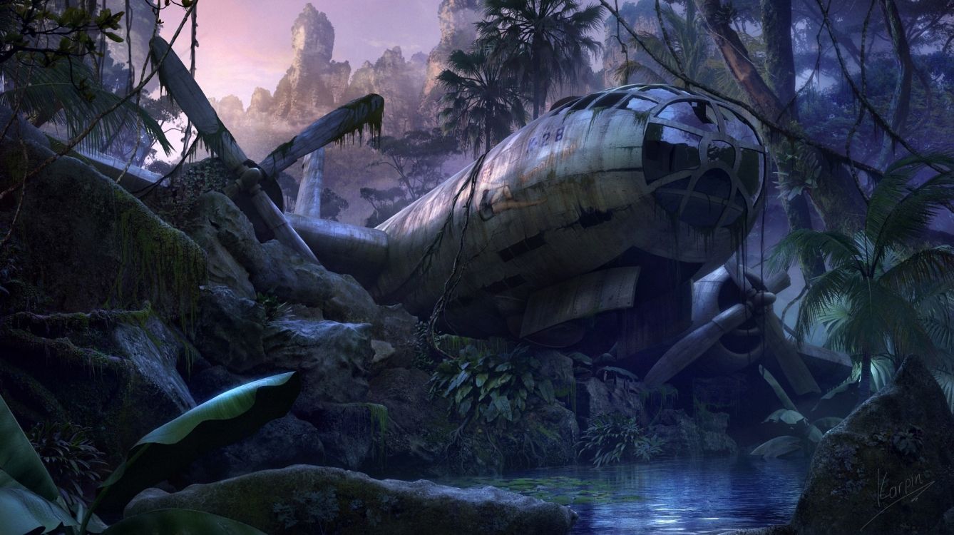 Avion, Jungle, Biome, la Forêt Ancienne, Forêt. Wallpaper in 1928x1080 Resolution