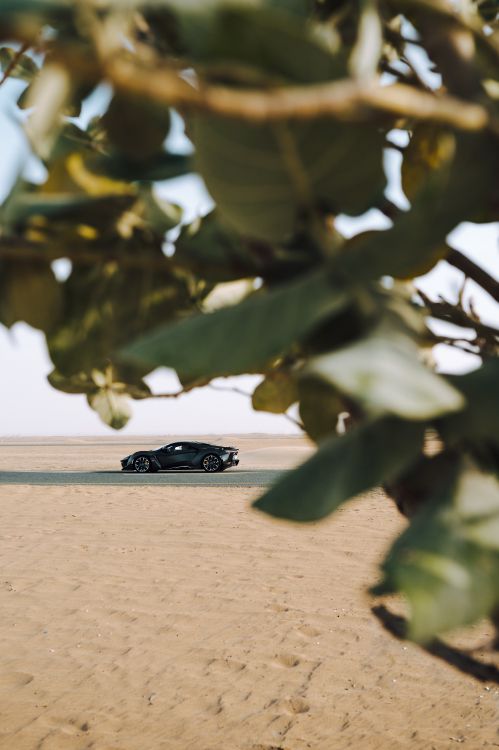 Black Coupe on Brown Sand During Daytime. Wallpaper in 3971x5957 Resolution