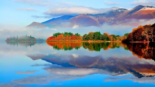 Image green trees near lake under blue sky during daytime