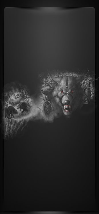 Manada de Lobos Negros, Hombre Lobo, Lobo Negro, Paquete, Perro Lobo Irlandés. Wallpaper in 1080x2340 Resolution