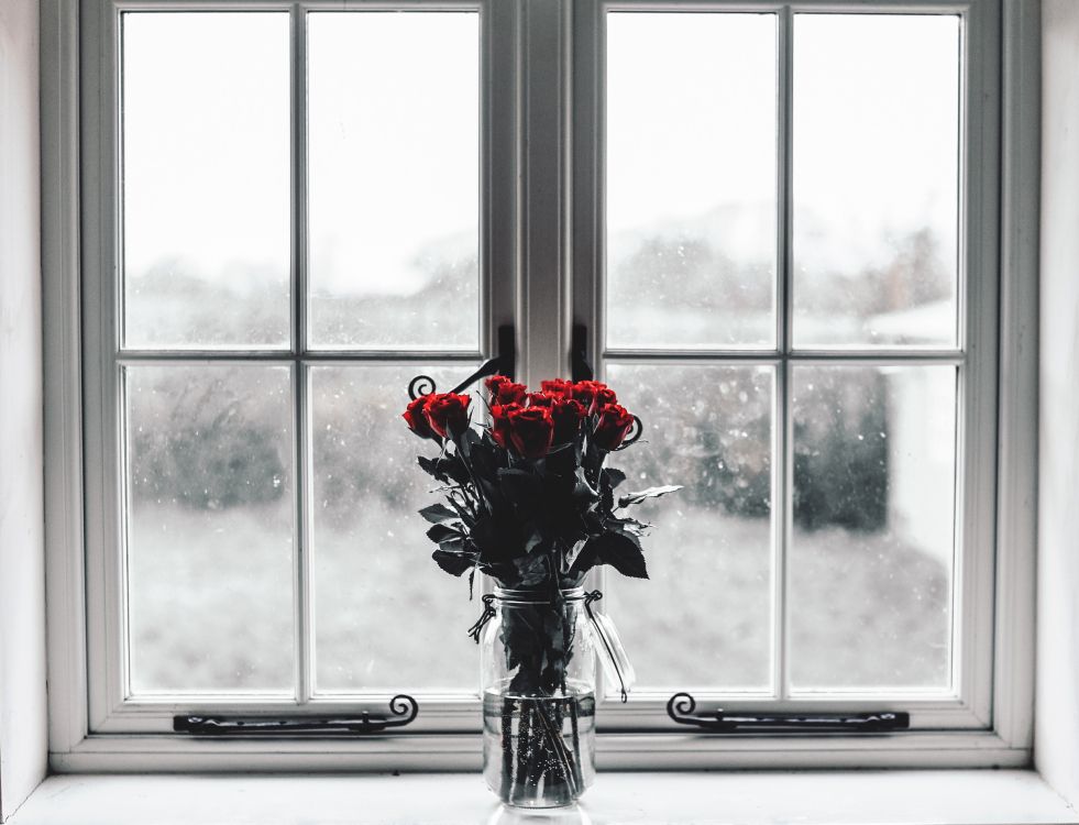 Roses Rouges Dans un Vase en Verre Transparent. Wallpaper in 4389x3353 Resolution