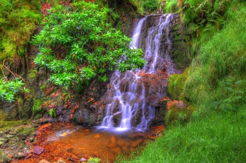 Image green grass and trees near waterfalls