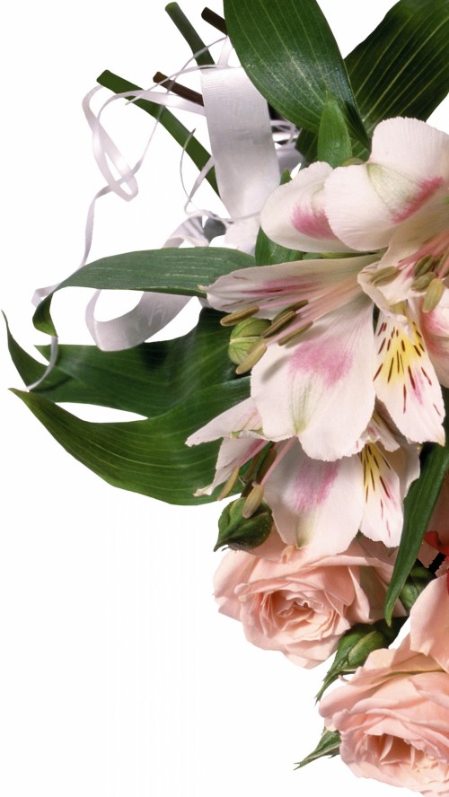 Image white and pink flowers with green leaves