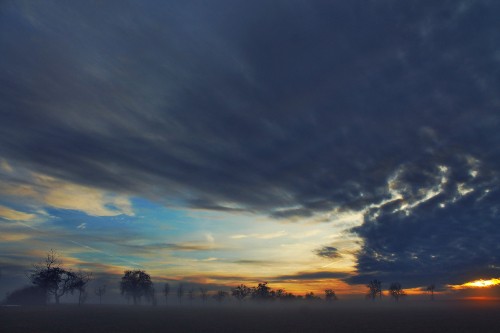 Image silhouette of trees under cloudy sky during sunset