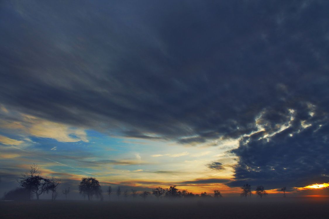 silhouette of trees under cloudy sky during sunset