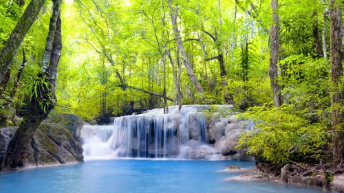 Image waterfalls in the middle of green trees
