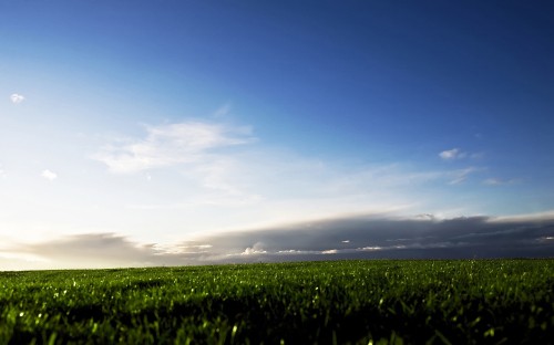 Image green grass field under blue sky during daytime