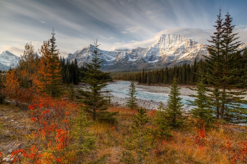 Image green and brown trees near snow covered mountain under cloudy sky during daytime