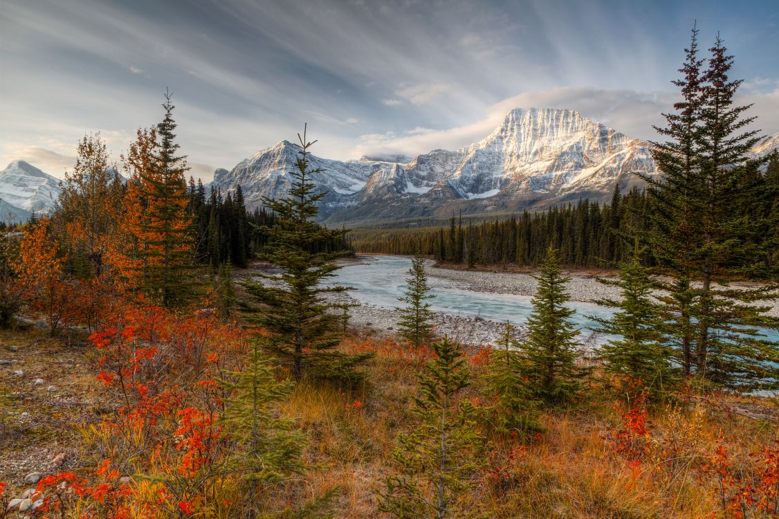 green and brown trees near snow covered mountain under cloudy sky during daytime