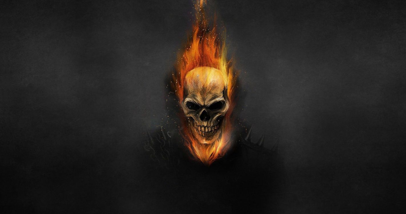 Ghost Rider, Kunst, Fledermaus, Holz, Tierwelt. Wallpaper in 4096x2160 Resolution