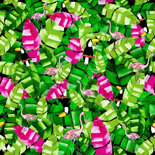 Image green, plant, flower, leaf, petal