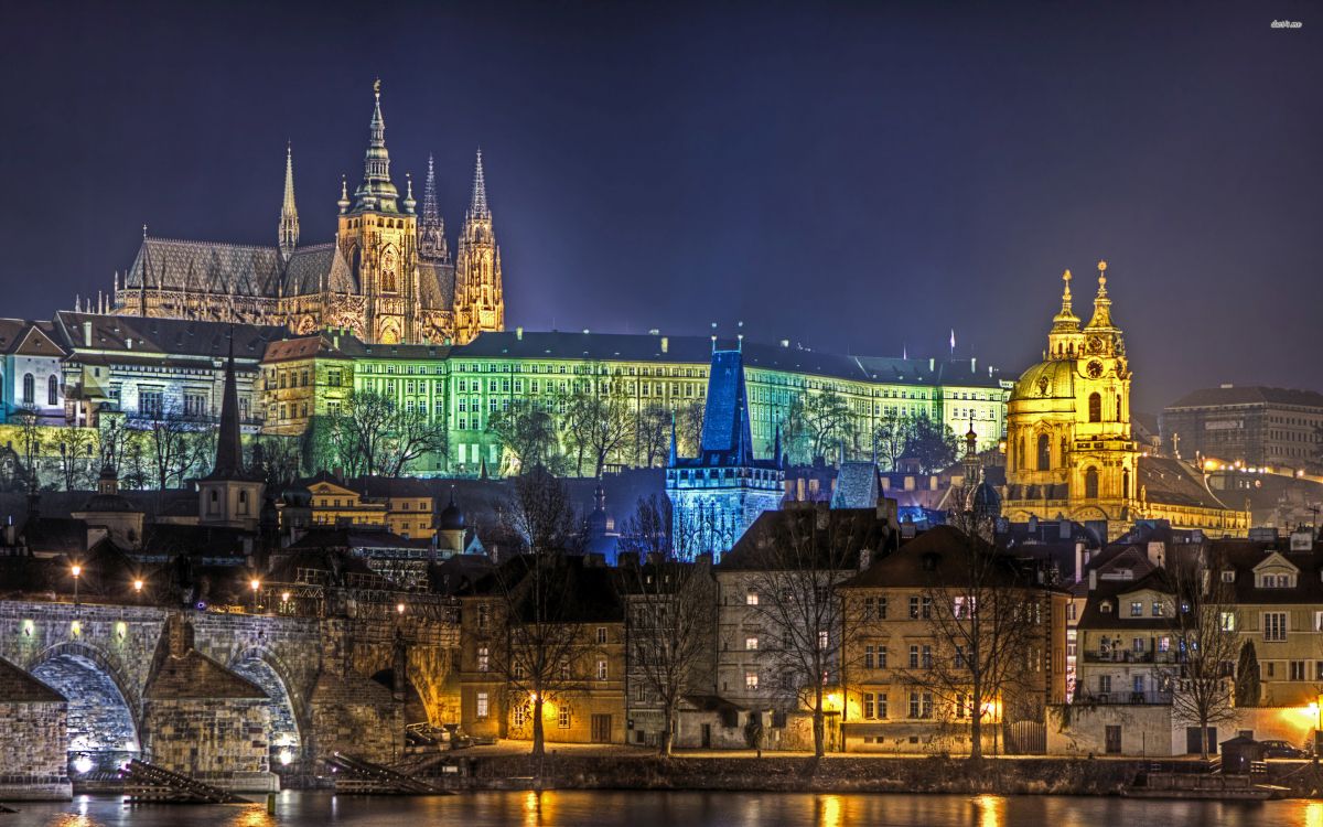 green and blue castle during night time