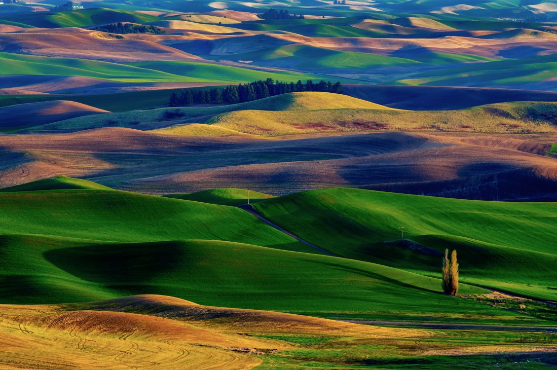 green grass field under blue sky during daytime