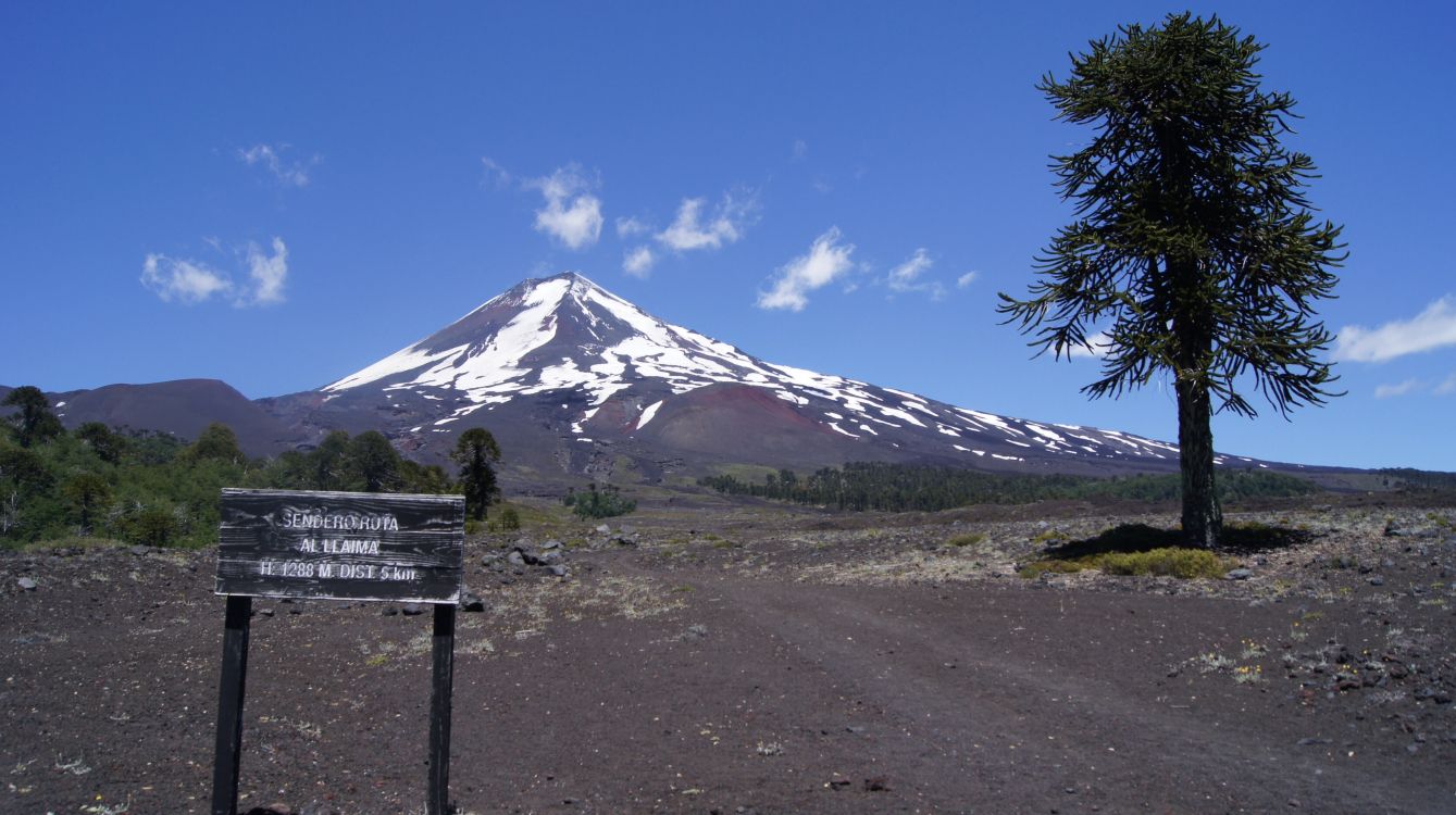 Grüne Palme in Der Nähe Des Berges Unter Blauem Himmel Tagsüber. Wallpaper in 3344x1872 Resolution