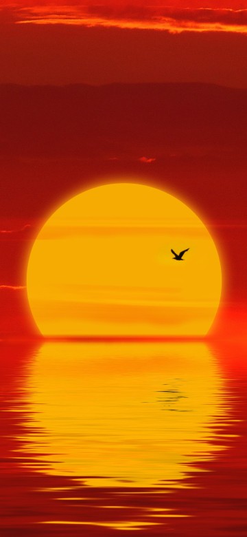 Image sunset, horizon, afterglow, red, orange