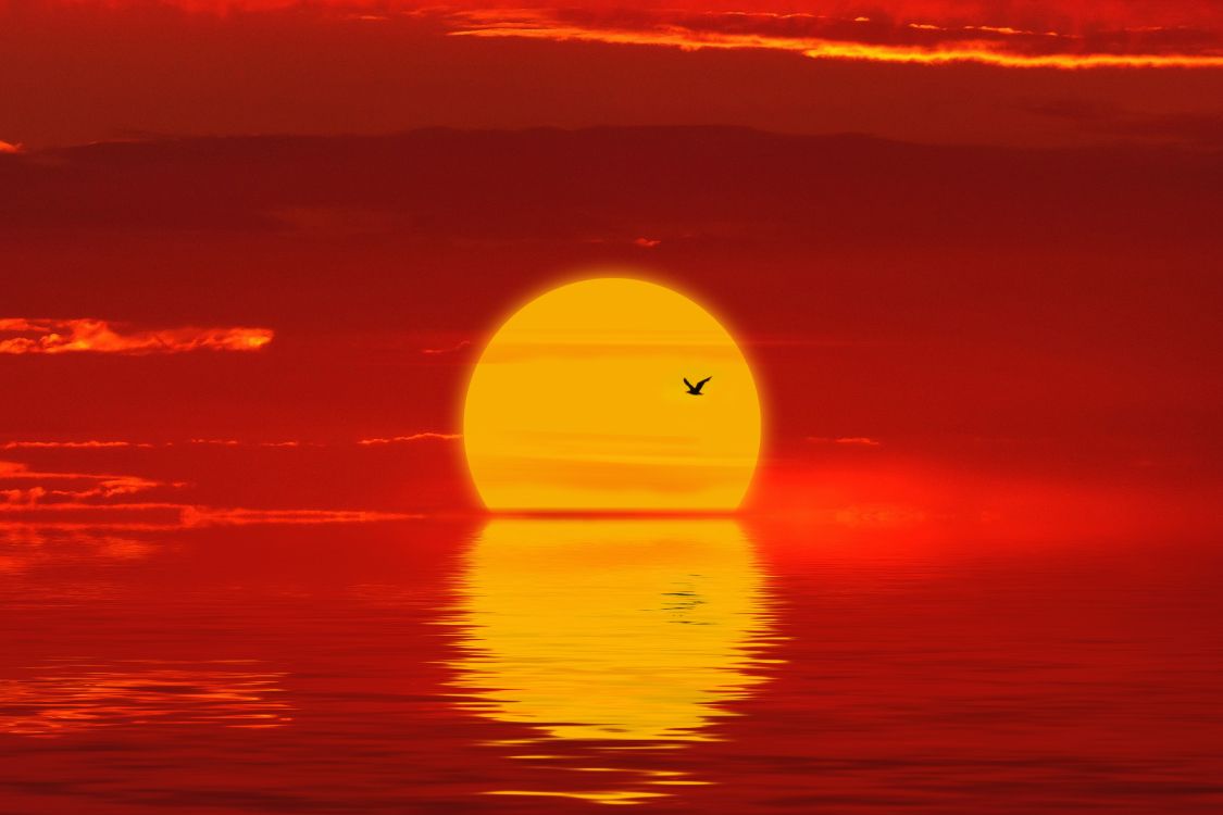 Sunset, Horizon, Afterglow, Red, Orange. Wallpaper in 6000x4000 Resolution