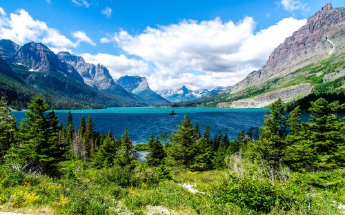 Image green trees near blue lake under blue sky during daytime