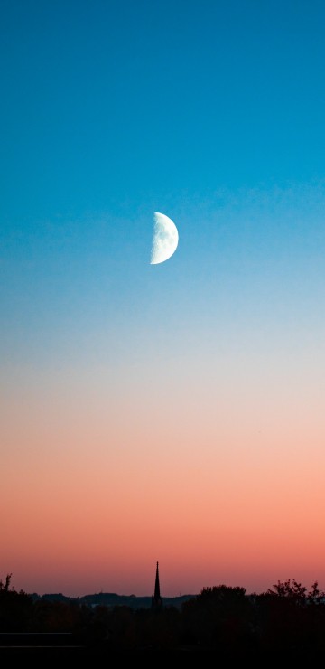Image silhouette of trees under blue sky during daytime