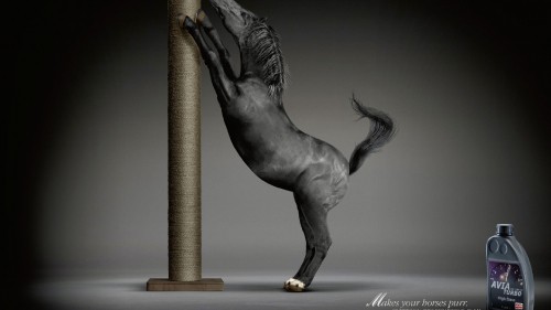 Image grey horse jumping beside brown wooden post