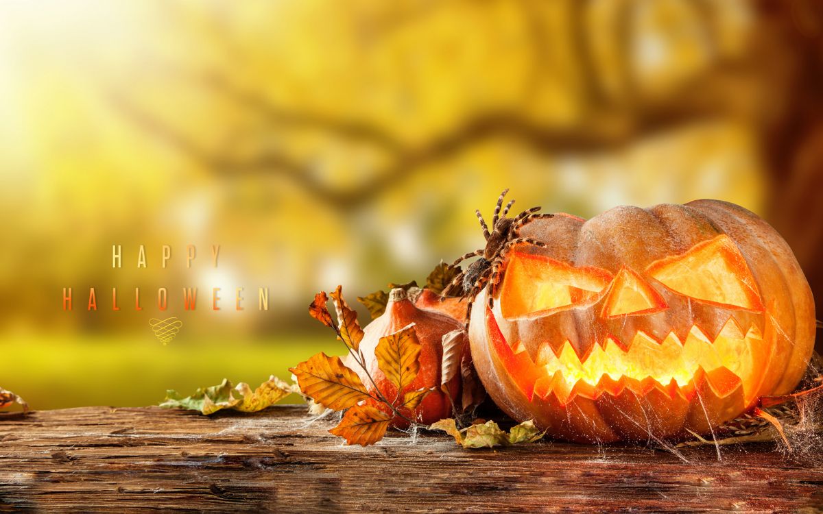 万圣节, Calabaza, 冬南瓜, 南瓜, 壁球 壁纸 2560x1600 允许