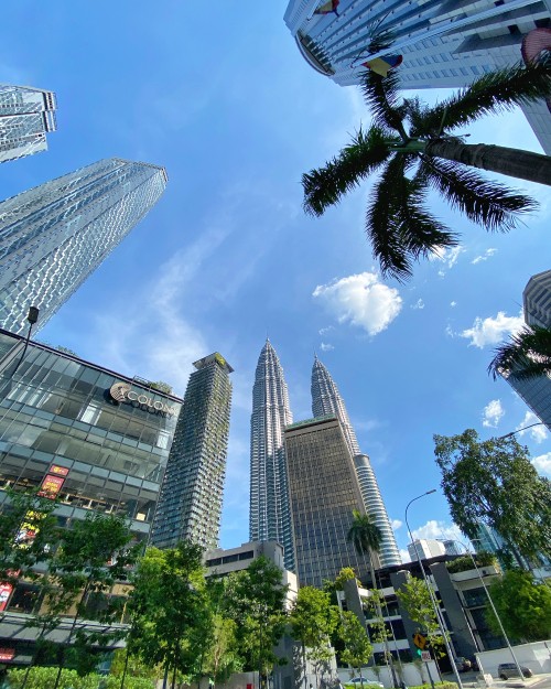 Image kuala lumpur, Malaysia, palm trees, daytime, tower block