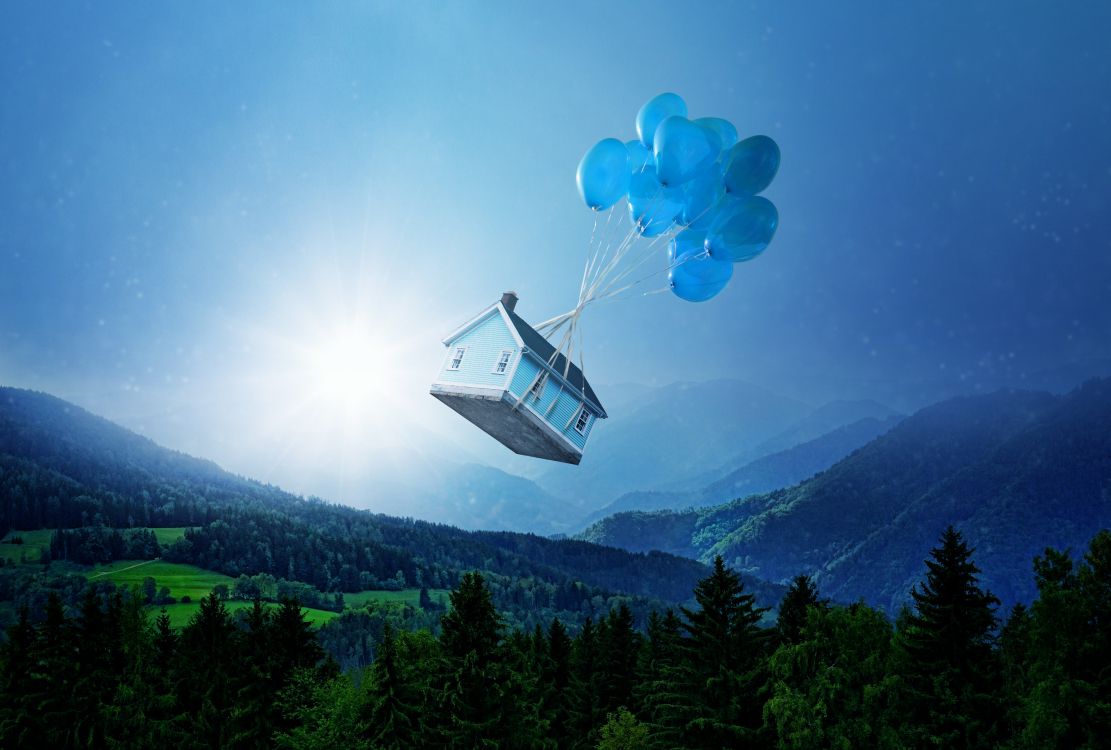 blue and white cable car over green trees during daytime