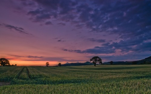 Image green grass field under cloudy sky during sunset