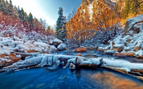 Image snow covered trees and rocks beside river during daytime